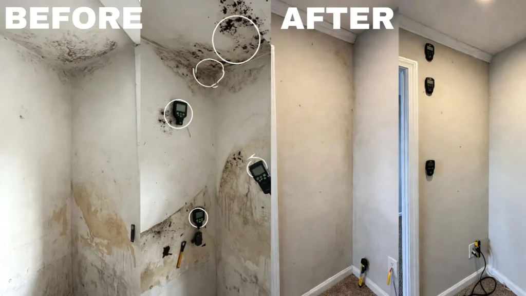 MOLD INSPECTION BOSTON MA