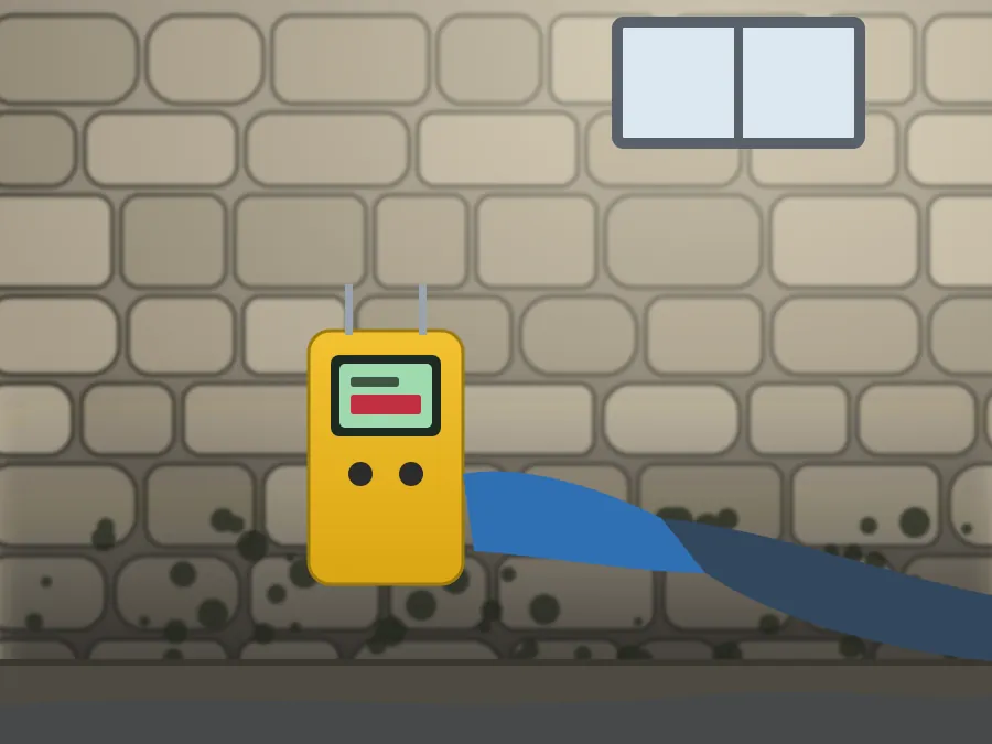 Moisture assessment of mold in a Boston basement