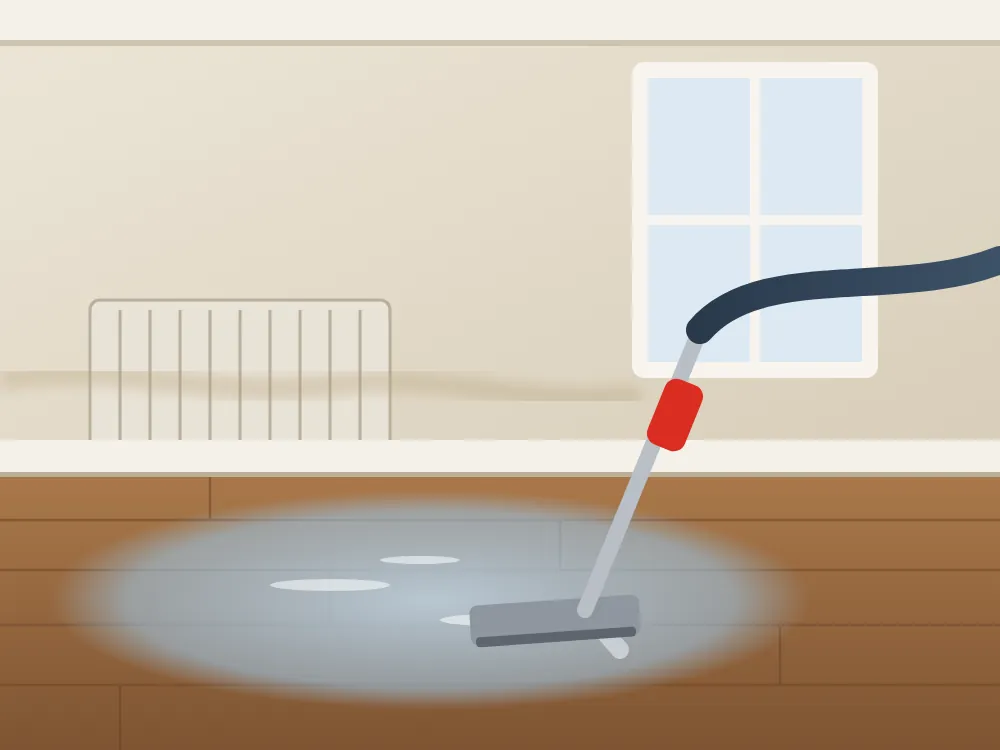 Water extraction from a hardwood floor in Brookline